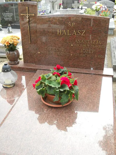 Zdjęcie grobu 16/26317