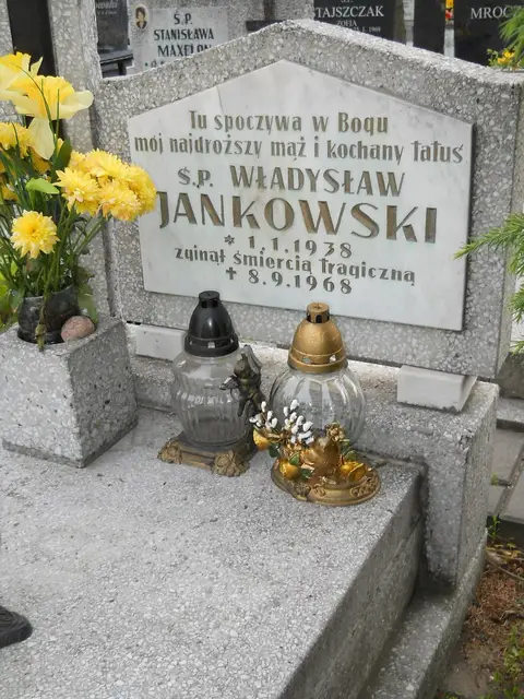 Zdjęcie grobu 8/10541