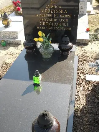 Zdjęcie grobu 3/100