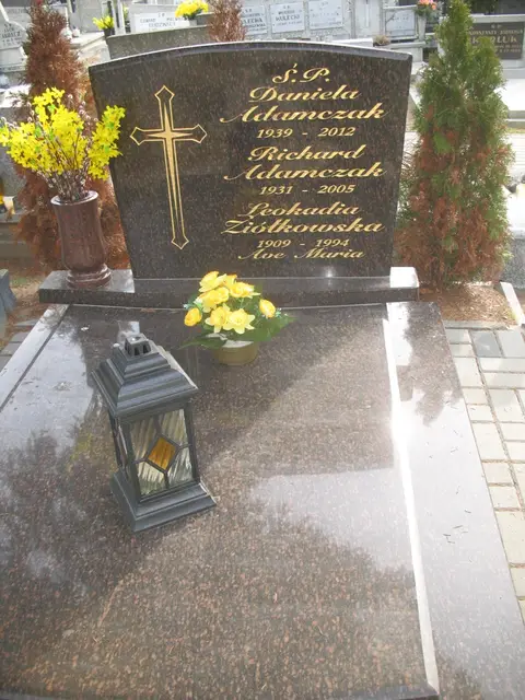 Zdjęcie grobu 7/11565