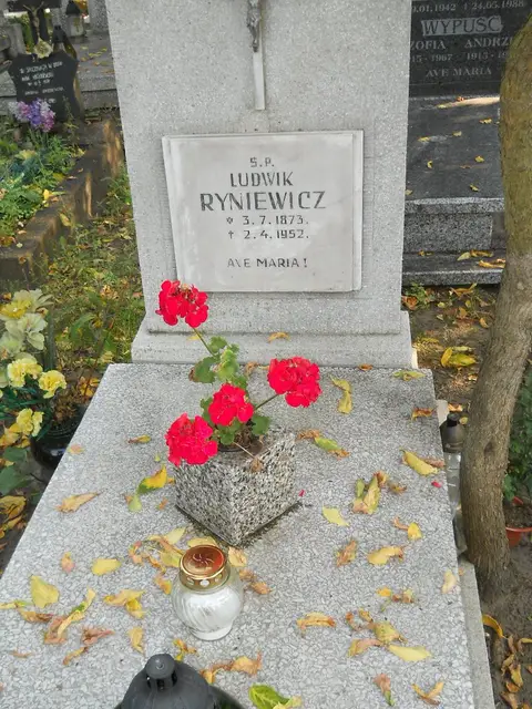Zdjęcie grobu 15/26697