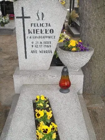 Zdjęcie grobu 23/100