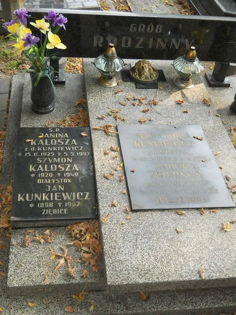 Zdjęcie grobu 15/26607