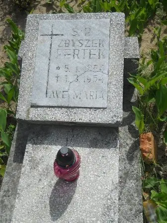 Zdjęcie grobu 21/100