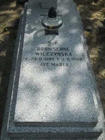 Zdjęcie grobu P/211
