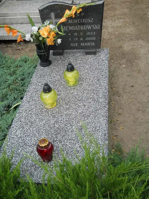 Zdjęcie grobu 6/24091