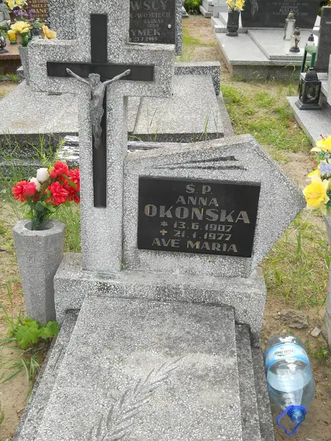 Zdjęcie grobu 8/10624