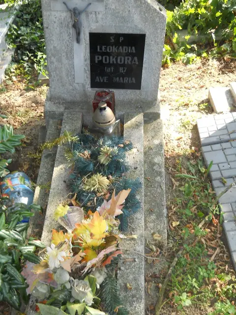 Zdjęcie grobu 14/27670