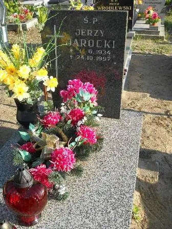 Zdjęcie grobu 45/55