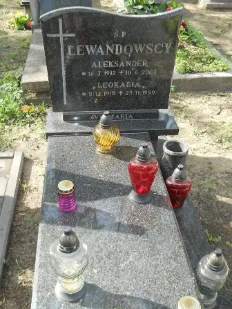 Zdjęcie grobu 27/100