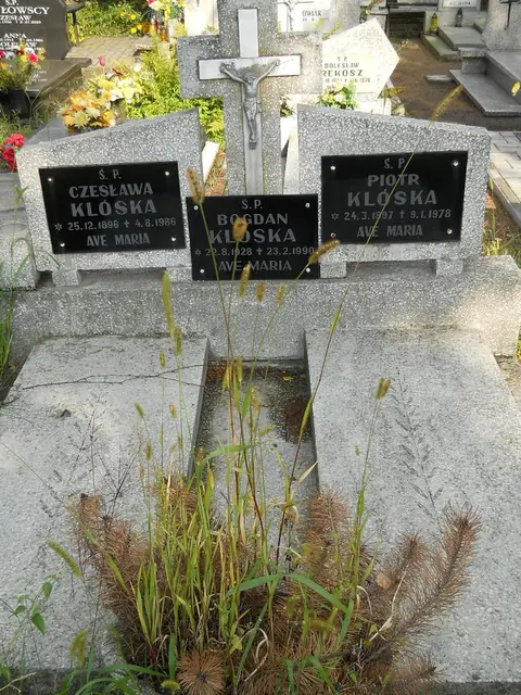 Zdjęcie grobu B/25565