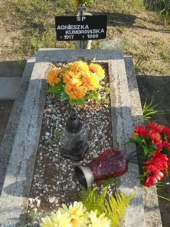 Zdjęcie grobu 45/223