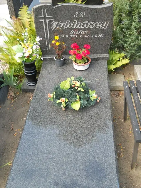 Zdjęcie grobu 6/24168