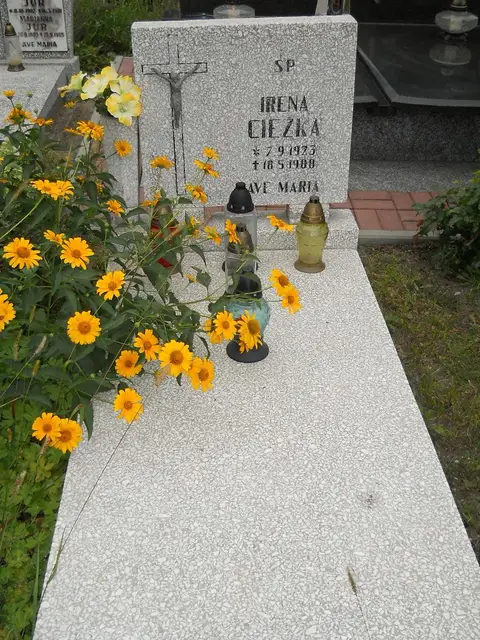 Zdjęcie grobu A/24750