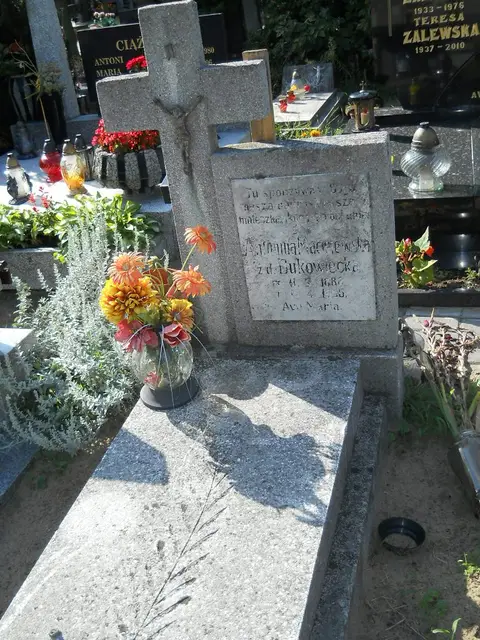 Zdjęcie grobu 11/29257