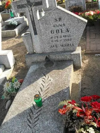 Zdjęcie grobu 100/100