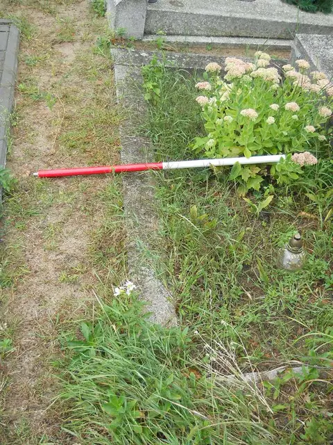Zdjęcie grobu 15/26038