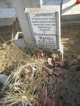 Zdjęcie grobu 100/100