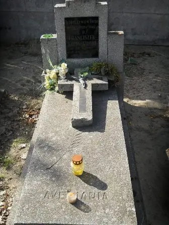 Zdjęcie grobu 100/60