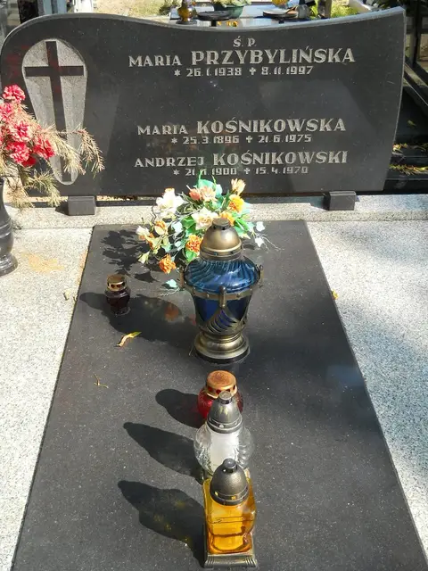 Zdjęcie grobu 18/28535