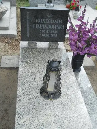Zdjęcie grobu 43/451