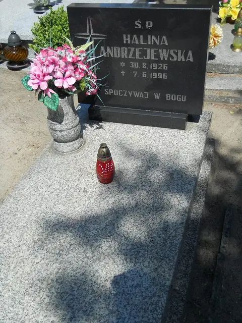 Zdjęcie grobu 8A/10127