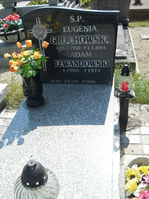 Zdjęcie grobu 14/27455