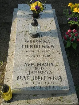 Zdjęcie grobu P/163