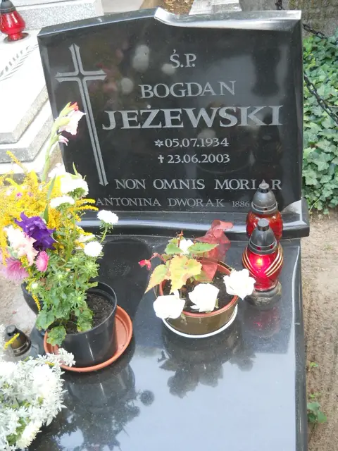 Zdjęcie grobu 14/26888