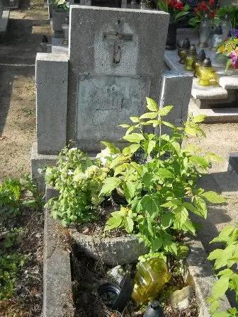 Zdjęcie grobu 24/124