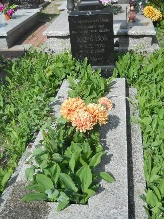 Zdjęcie grobu D/88