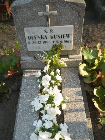 Zdjęcie grobu 7b/100
