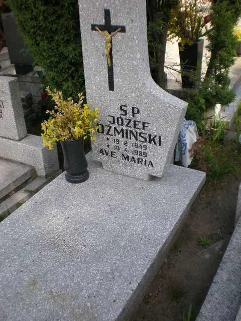 Zdjęcie grobu 8A/20210