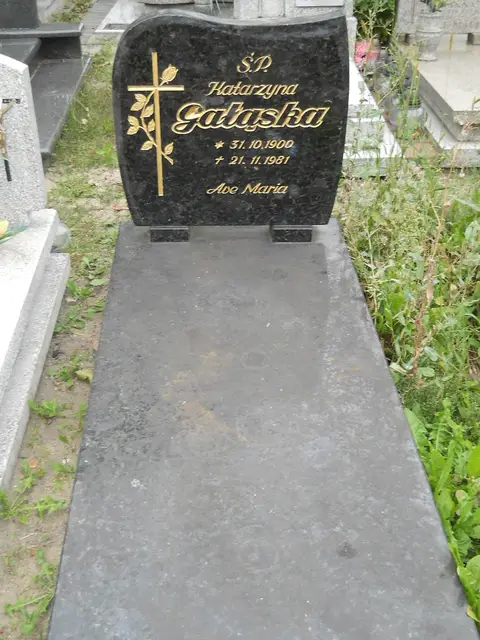 Zdjęcie grobu A/24724