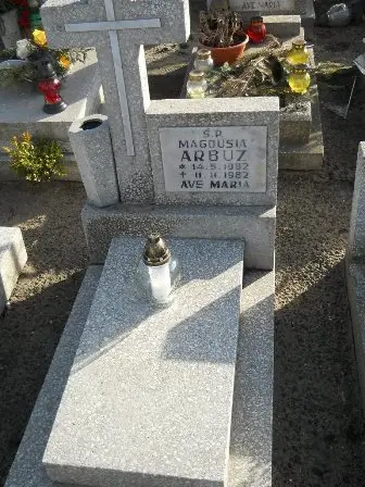 Zdjęcie grobu 100/100