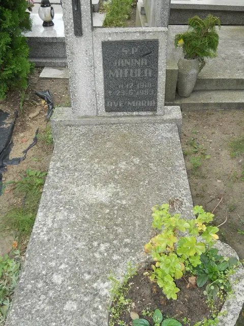 Zdjęcie grobu A/24618