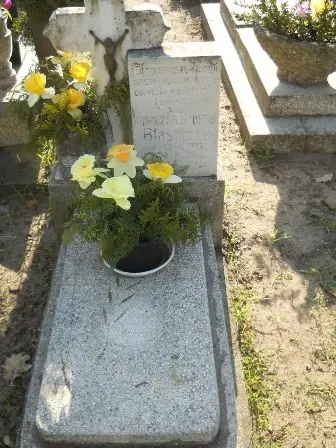 Zdjęcie grobu 7/100