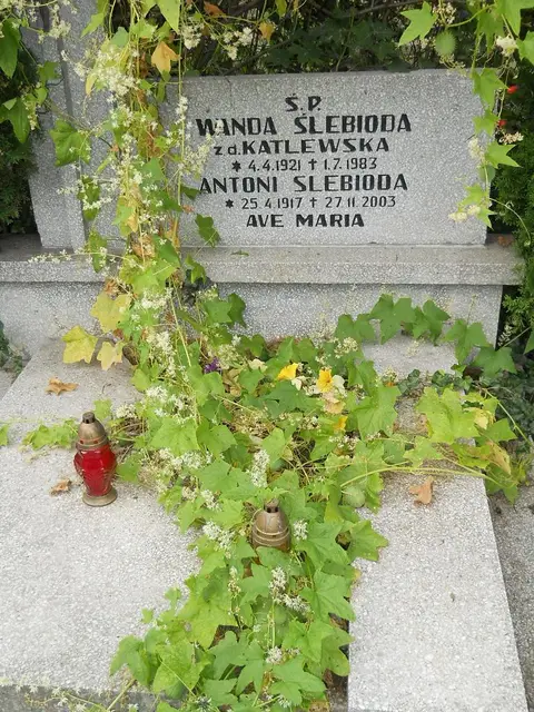 Zdjęcie grobu A/24686