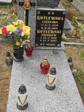 Zdjęcie grobu 38/113
