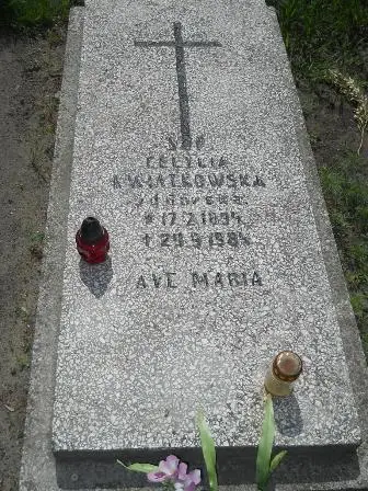 Zdjęcie grobu 25/237