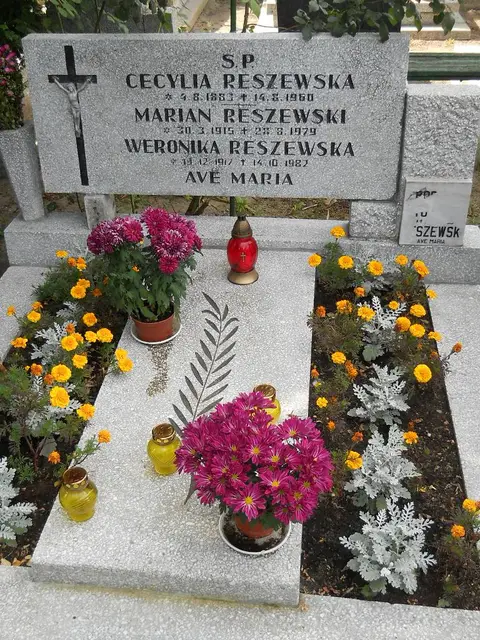 Zdjęcie grobu 6/24300