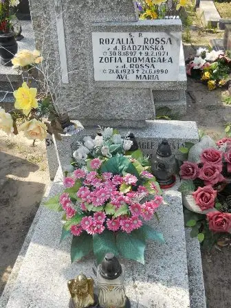 Zdjęcie grobu 24/263
