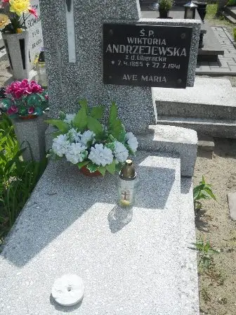 Zdjęcie grobu 25/5