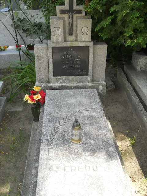 Zdjęcie grobu 6/24264
