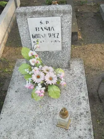 Zdjęcie grobu 7b/100