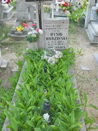 Zdjęcie grobu 7b/100