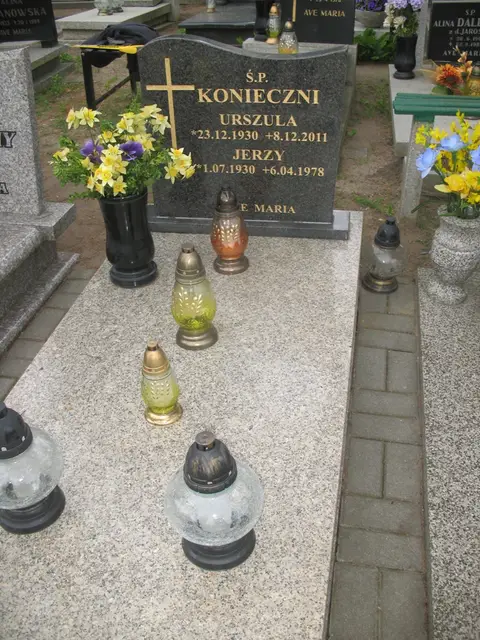 Zdjęcie grobu 7/10788