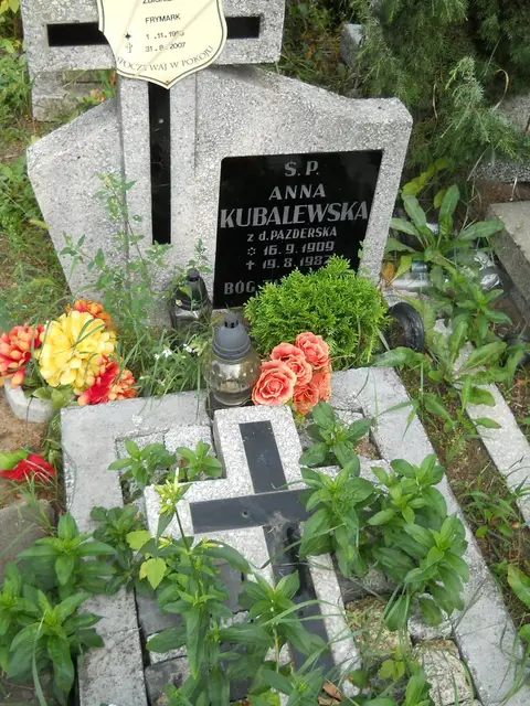 Zdjęcie grobu 16/26442
