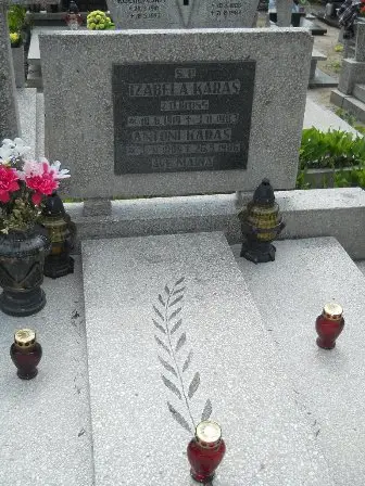 Zdjęcie grobu 21/231,232