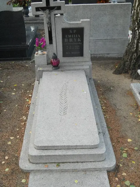 Zdjęcie grobu D/25907